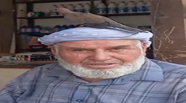 80 Yaşındaki Bakkalın Başında Huzur Kondu: Yusufçuk!