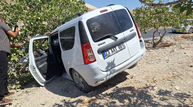 Birecik'te tır ile otomobil çarpıştı