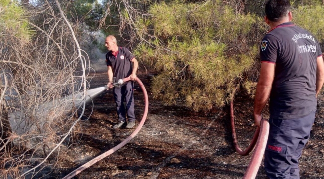 Bozova'da Ormanlık Alanda Yangın