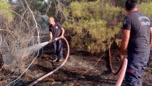 Bozova'da Ormanlık Alanda Yangın