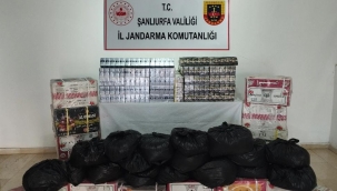 Eyyübiye'de kaçakçılık operasyonu 
