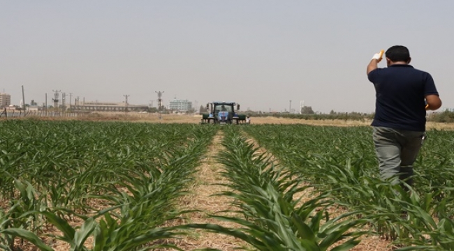 Şanlıurfa: Bereketin Gelecekle Buluştuğu Şehir
