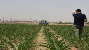 Şanlıurfa: Bereketin Gelecekle Buluştuğu Şehir