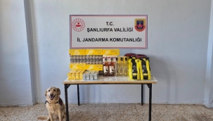 Şanlıurfa'da çok sayıda kaçak sigara ele geçirildi 
