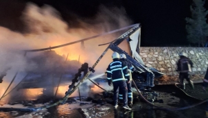 Şanlıurfa'da TIR alev alev yandı