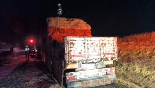 Şanlıurfa'da tır alev alev yandı 