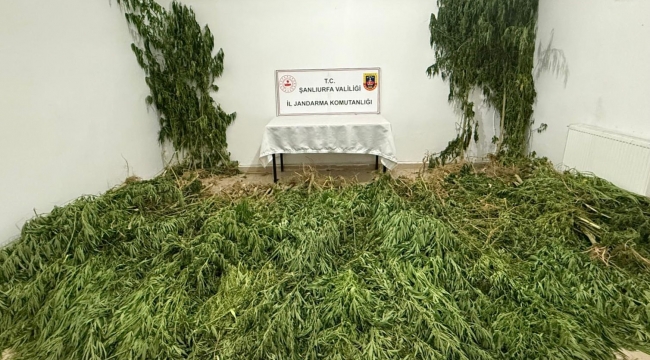 Şanlıurfa'da uyuşturucu operasyonu, 3 gözaltı 