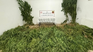 Şanlıurfa'da uyuşturucu operasyonu, 3 gözaltı 