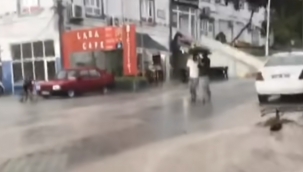 Şanlıurfa'da yağmur serinletti 