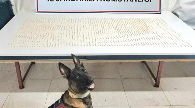 Şanlıurfa'da Zehir Tacirlerine Şok Baskın: Extacy ve Kenevir Yakalandı!