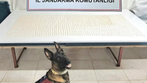 Şanlıurfa'da Zehir Tacirlerine Şok Baskın: Extacy ve Kenevir Yakalandı!