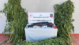 Şanlıurfa'nın iki ilçesinde operasyonu 