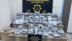 Siverek'te 28 Kilo Skunk Ele Geçirildi, 2 Kişi Tutuklandı