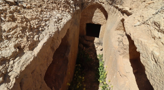 Suruç'ta Tarihin Sırları Ortaya Çıkıyor: Kaya Mezar Detayları Kayıt Altında!