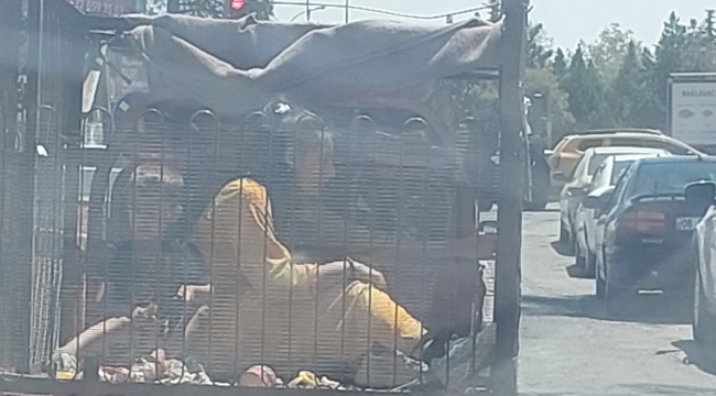 Viranşehir'de 47 Derecede Hayati Tehlike: Çocuklar Sepetli Motosiklette!