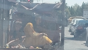 Viranşehir'de 47 Derecede Hayati Tehlike: Çocuklar Sepetli Motosiklette!