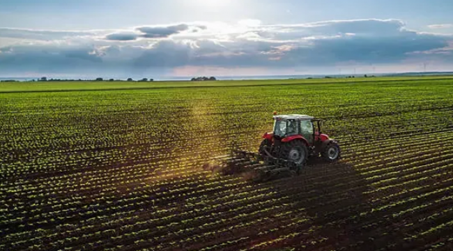 2026 ÇKS Başvuru Süreci Başladı: e-Devlet ve Müdürlüklerden İşlem Yapılabilecek