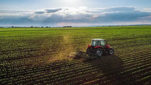 2026 ÇKS Başvuru Süreci Başladı: e-Devlet ve Müdürlüklerden İşlem Yapılabilecek