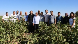 Büyükşehir, Üreticinin Destekçisi Olmayı Sürdürüyor