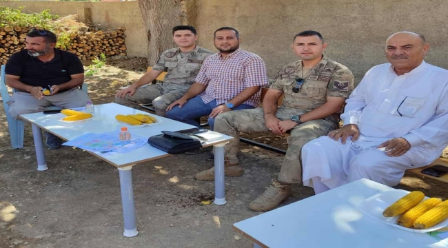 Eyyübiye'de Geleneksel Mısır Festivali Renkli Görüntülere Sahne Oldu