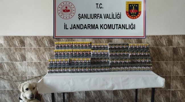 Eyyübiye ve Viranşehir'de Kaçak Sigara ve Nargile Tütünü Baskın