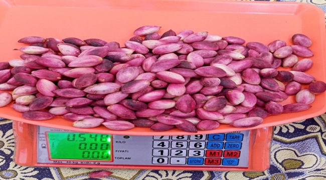 Fıstıkta Rekor Fiyatlar: Tezgahta 700 TL'ye Satılıyor