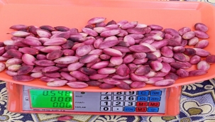 Fıstıkta Rekor Fiyatlar: Tezgahta 700 TL'ye Satılıyor