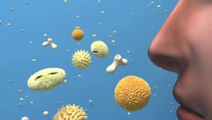 Kendinizi ve Sevdiklerinizi Gripten Koruyun