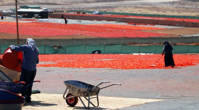 Mevsimlik İşçilere Sağlık Molası 