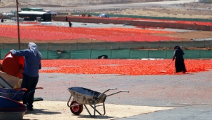 Mevsimlik İşçilere Sağlık Molası 