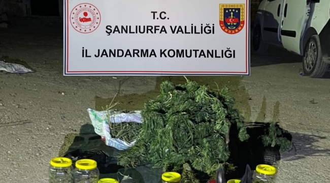 Şanlıurfa'da 13 kilo skunk maddesi ele geçirdi