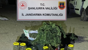 Şanlıurfa'da 13 kilo skunk maddesi ele geçirdi