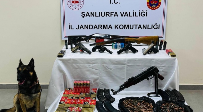 Şanlıurfa'da çok sayıda silah ele geçirildi 