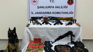 Şanlıurfa'da çok sayıda silah ele geçirildi 