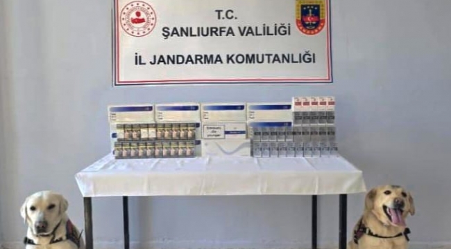 Şanlıurfa'da Kaçak Sigara Operasyonu