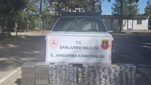 Şanlıurfa'da Kaçak Sigaraya Darbe: 3 Binden Fazla Paket Ele Geçirildi!