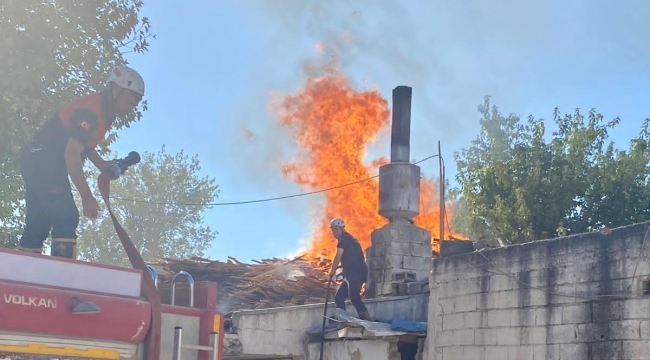 Şanlıurfa'da pide fırınının odunluğunda yangın