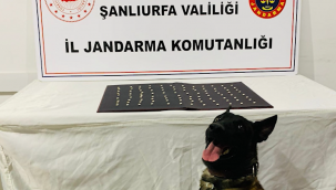 Şanlıurfa'da Zehir Tacirlerine Darbe! 5 İlçede Operasyon