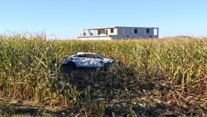 Akçakale'de kontrolden çıkan otomobil mısır tarlasına daldı