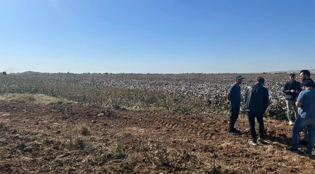 Eyyübiye'de Pamuk Hasadında Başarı İçin Denetim Seferberliği