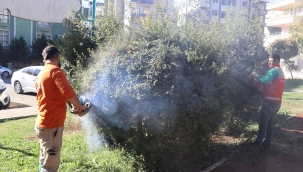 Haliliye'de Yeşil Dönüşüm: Parklar Yenileniyor, İlçe Güzelleşiyor
