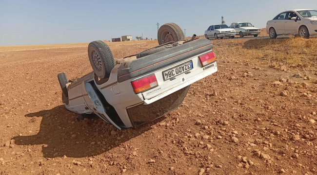 Harran'da Otomobil Ters Döndü, 1 Yaralı