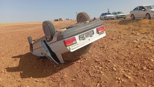 Harran'da Otomobil Ters Döndü, 1 Yaralı