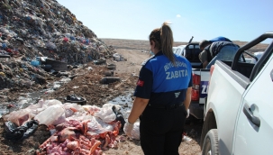 Şanlıurfa'da 1 ton kokmuş ve bozuk et ele geçirildi