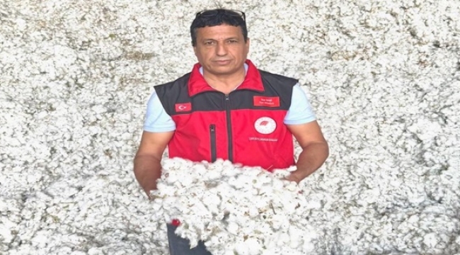 Şanlıurfa'da "Beyaz Altın" Hasadı Başladı: Pamuk, Yine Çiftçinin Umudu Oldu
