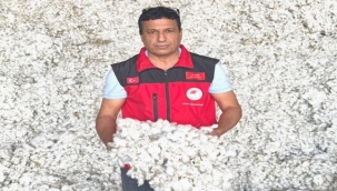 Şanlıurfa'da "Beyaz Altın" Hasadı Başladı: Pamuk, Yine Çiftçinin Umudu Oldu