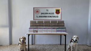 Şanlıurfa'da Kaçak Sigara Operasyonu: 7.940 Paket Gümrük Kaçağı Sigara Ele Geçirildi