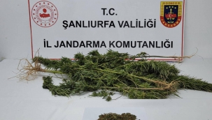 Şanlıurfa'da zehir tacirlerine operasyon!