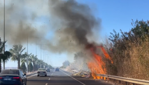 Şanlıurfa-Mardin Karayolunda Kuru Ot Yangını Sürücülere Kabus Oldu
