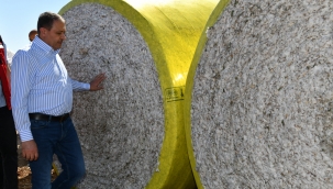 Şanlıurfa Pamuğu Koruma Altında